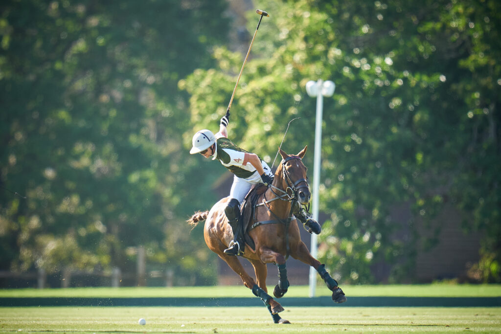 Polo